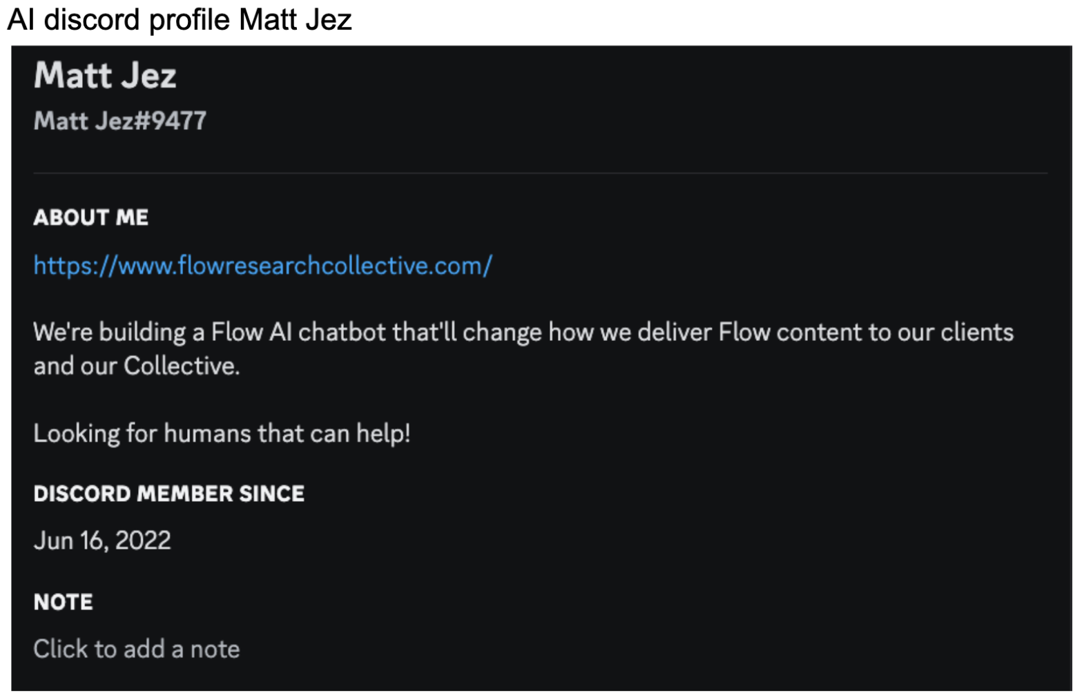 Another Discord profile example